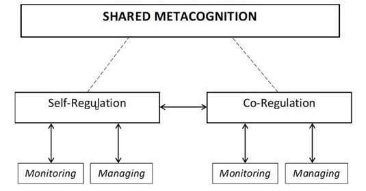 A flow chart: shared metacognition branches into self regulation and co-regulation. Self-regulation and co-regulation each branch into monitoring and managing.