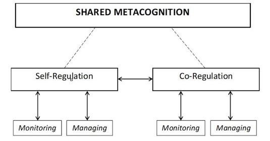 A flow chart: shared metacognition branches into self regulation and co-regulation. Self-regulation and co-regulation each branch into monitoring and managing.