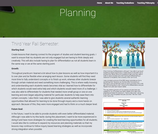 A sample Planning Page demonstrating the Starting Goal, Growth and Future Goal, a graphic illustrating equality and equity and a sample lesson plan.